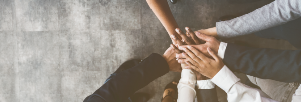 About Menarini banner image